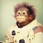 Profile (spaceMonkey77)