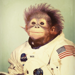 spaceMonkey77