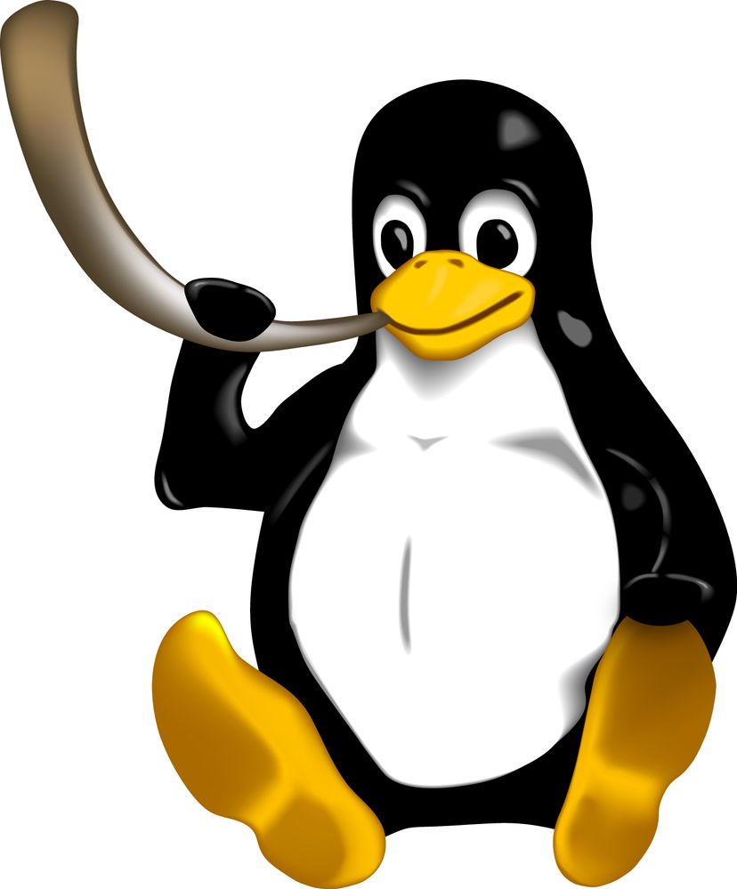 penguin2.jpg