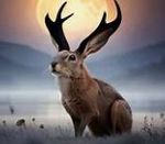 Profile (jackalope)
