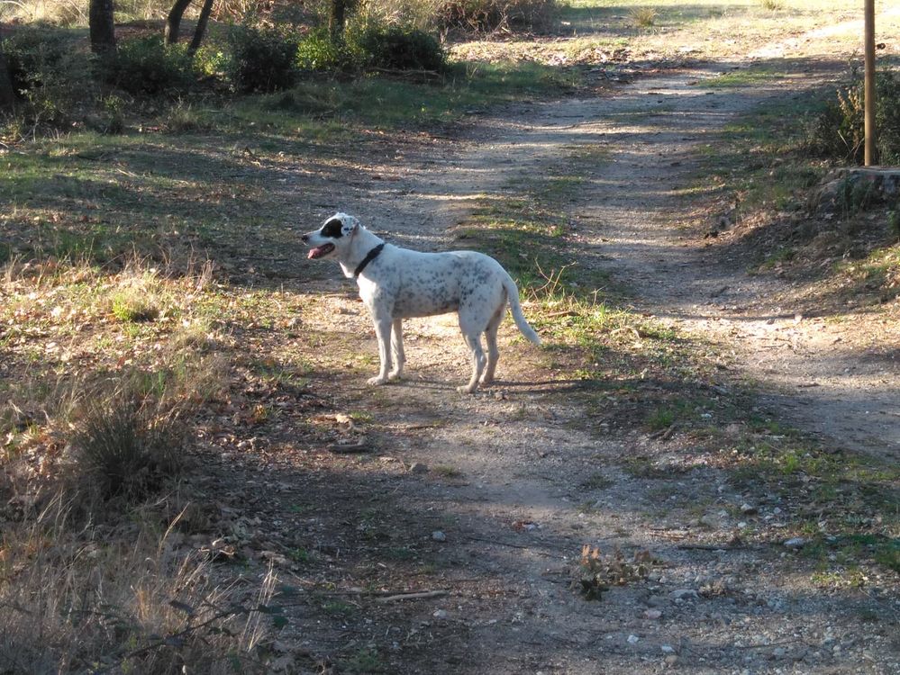 IMG-20230327-WA0001 (1).jpg