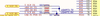 Gyessine_11-1748015479602.png