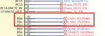 mALLEm_1-1748267188956.png