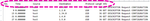Gyessine_1-1751634429345.png
