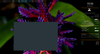 AScha3_0-1752050134597.png