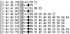 TesterSAM_8-1753437954631.png