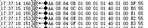 TesterSAM_9-1753437962688.png