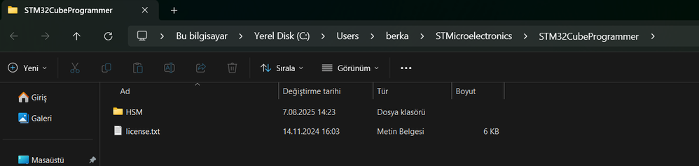 Ekran görüntüsü 2025-08-13 162859.png