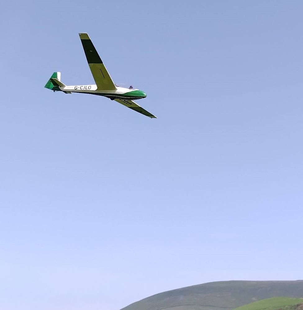 gild1b.jpg