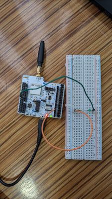 WhatsApp Image 2026-01-22 at 12.08.01 PM.jpeg