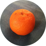 pfp.png