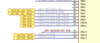 SathvikKunuru_3-1778157058037.png