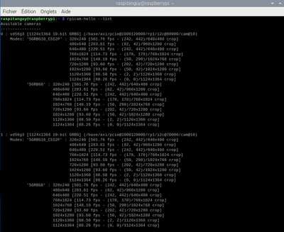 screen1_cam_detect.png