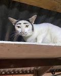 images.jpg