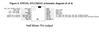 AScha3_0-1779439304828.png