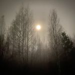 Leo_Galitsyn