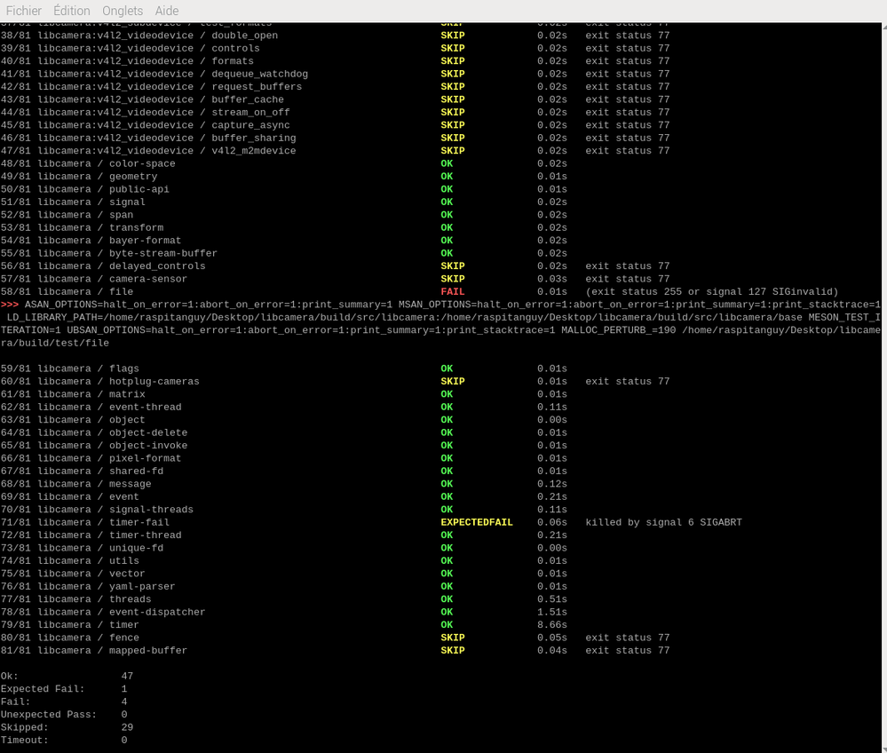 rogne_screen_error_meson2.png