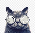 cat-icon-png-favpng-umn7aV87zUPLycXV9zfYxyEzt.jpg