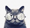 cat-icon-png-favpng-umn7aV87zUPLycXV9zfYxyEzt.jpg
