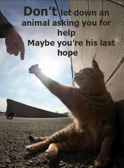 help.jpg