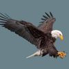 FB_IMG_1678896378694.jpg