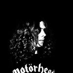 Profile (Legacy member)