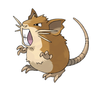 Raticate Profile Image.png