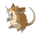 Raticate Profile Image.png