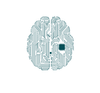 brain_ic.png