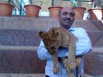 kamran pic with lion.jpg