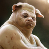ToughPigSmall.png
