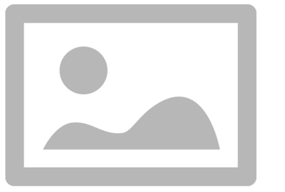 ChipCurious_0-1699493502140.png