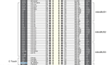 _legacyfs_online_stmicro_images_0693W00000biA0CQAU.png