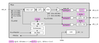 AMEMCUSM_1-1701666115305.png