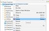 Removing Project from Workspace
