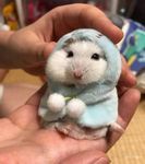 Profile (PatrickKim)