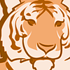 waclawekjan_0-1711280925663.png