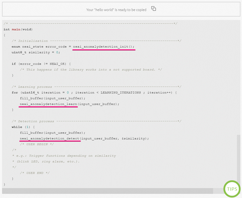 Figure 43 - Code Example Provided by NanoEdge