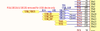 AScha3_0-1714753096757.png