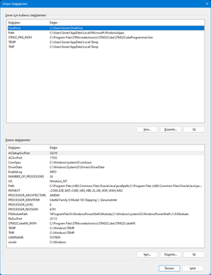 Ortam değişkeni.png