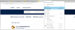 Duplicate page.png