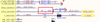 SofLit_0-1718213103852.png
