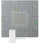 SofLit_0-1718898358434.png