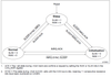 SofLit_0-1719315031278.png