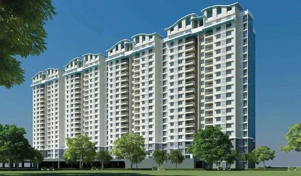 Purva Weaves (2).jpg