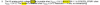 AScha3_0-1723360259463.png