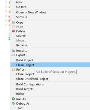 Cleaning Project