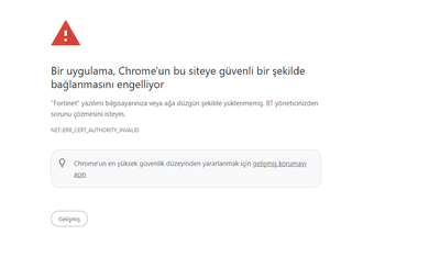 oguzhansenol_0-1724235927361.png
