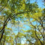 Profile (S_Hamzeh74)