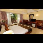 sattva lumina (2).jpg